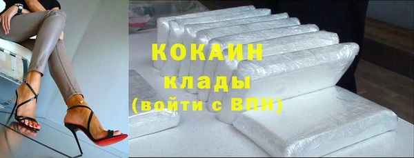 гашик Горняк