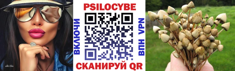 Галлюциногенные грибы мицелий  Купить закладки  Новохопёрск 